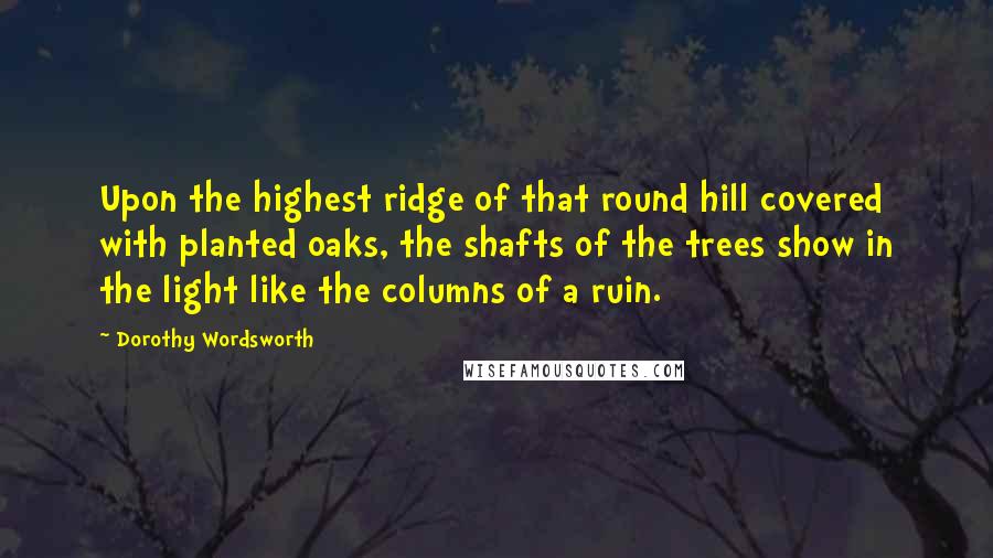 Dorothy Wordsworth quotes: Upon the highest ridge of that round hill covered with planted oaks, the shafts of the trees show in the light like the columns of a ruin.