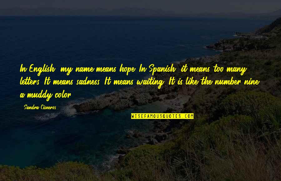 Dorrie Chelak Quotes By Sandra Cisneros: In English, my name means hope. In Spanish,