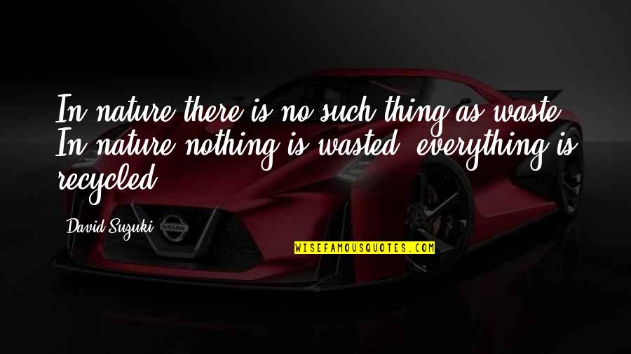 Dorrier Quotes By David Suzuki: In nature there is no such thing as
