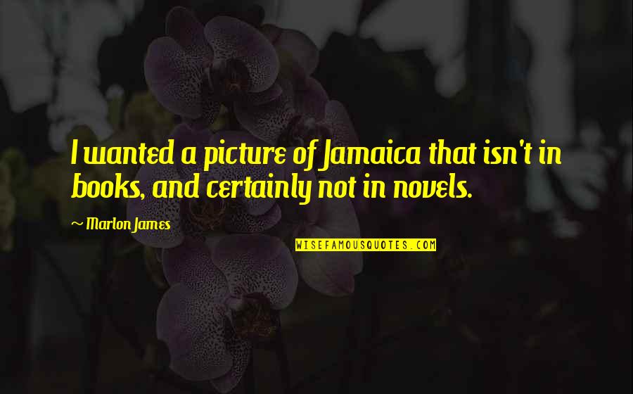 Dose Of Their Own Medicine Quotes By Marlon James: I wanted a picture of Jamaica that isn't