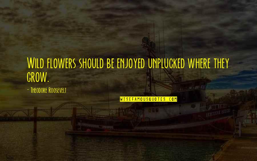 Dosent Patreon Quotes By Theodore Roosevelt: Wild flowers should be enjoyed unplucked where they
