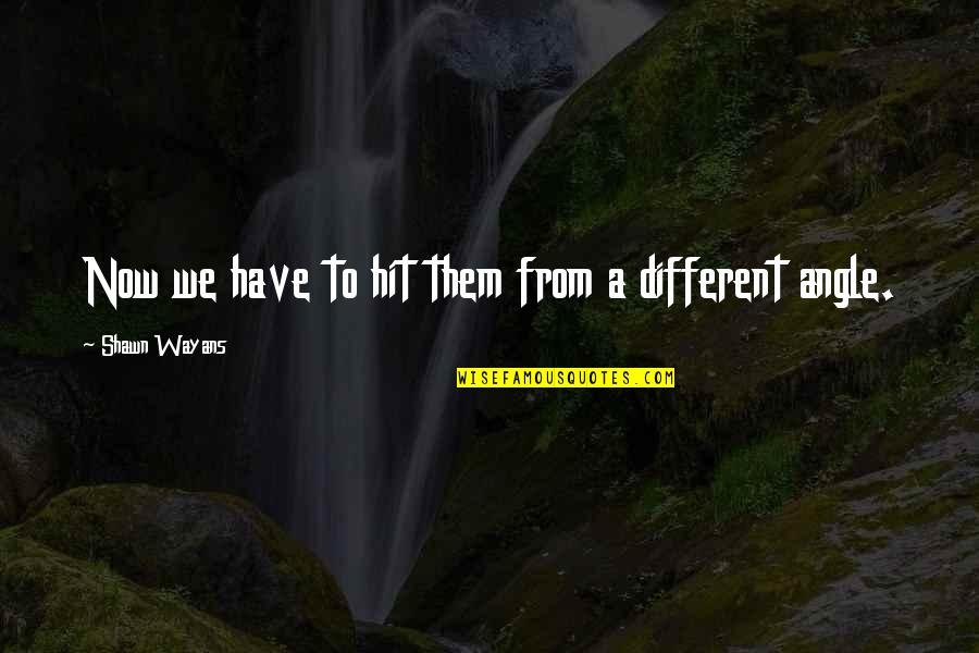 Dosey Doe Strain Quotes By Shawn Wayans: Now we have to hit them from a