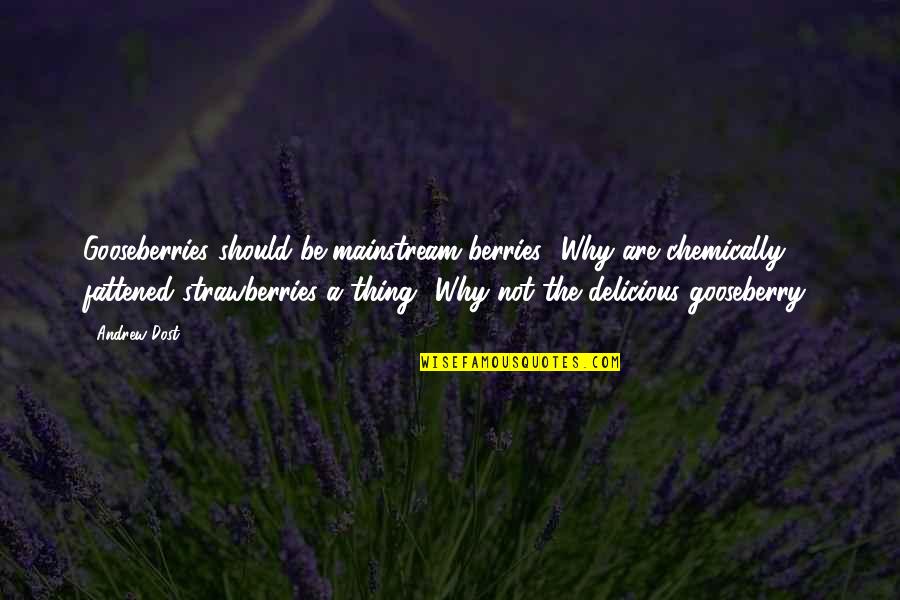 Dost Quotes By Andrew Dost: Gooseberries should be mainstream berries! Why are chemically