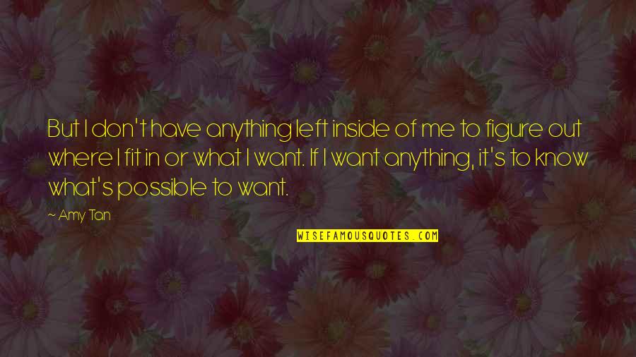 Dostie Homes Quotes By Amy Tan: But I don't have anything left inside of