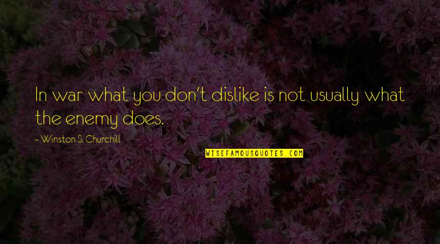Dostoievski Fratii Quotes By Winston S. Churchill: In war what you don't dislike is not Dostoievski Fratii Quotes By Winston S. Churchill: In war what you don't dislike is not