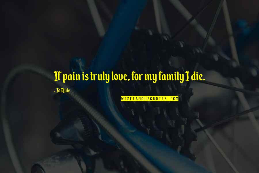 Dota O Ako Quotes By Ja Rule: If pain is truly love, for my family