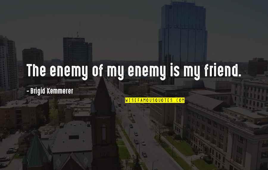 Dote Quotes By Brigid Kemmerer: The enemy of my enemy is my friend.