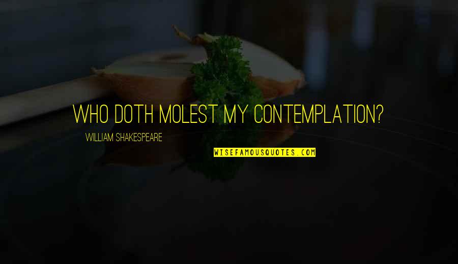 Doth Quotes By William Shakespeare: Who doth molest my contemplation?