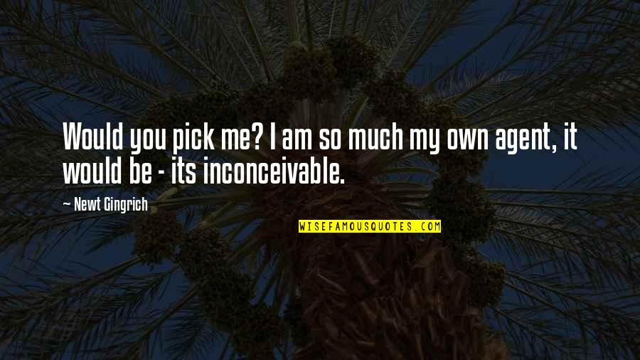 Dottrina Monroe Quotes By Newt Gingrich: Would you pick me? I am so much