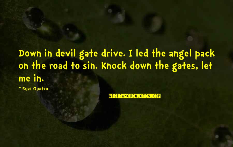 Dottyback Quotes By Suzi Quatro: Down in devil gate drive. I led the