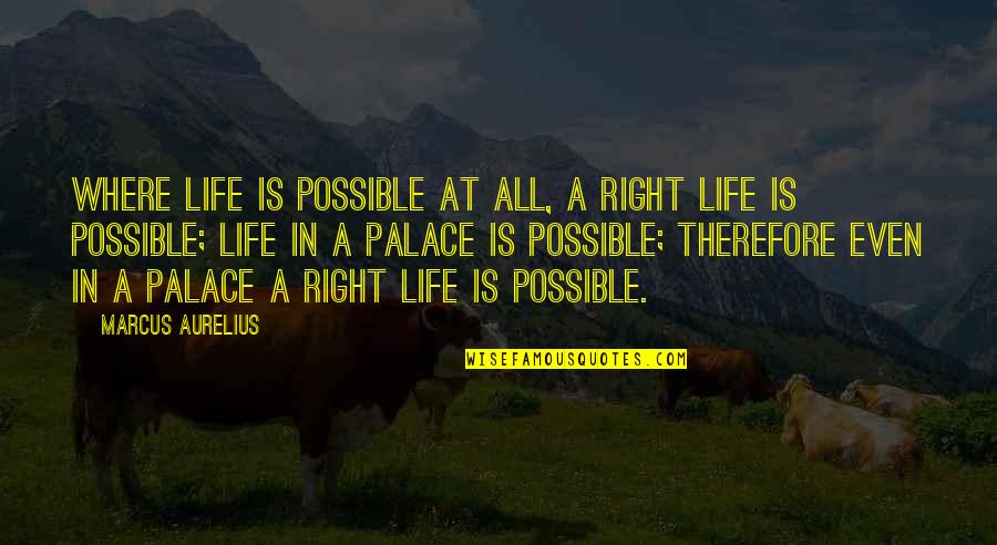 Dotyczyc Quotes By Marcus Aurelius: Where life is possible at all, a right Dotyczyc Quotes By Marcus Aurelius: Where life is possible at all, a right