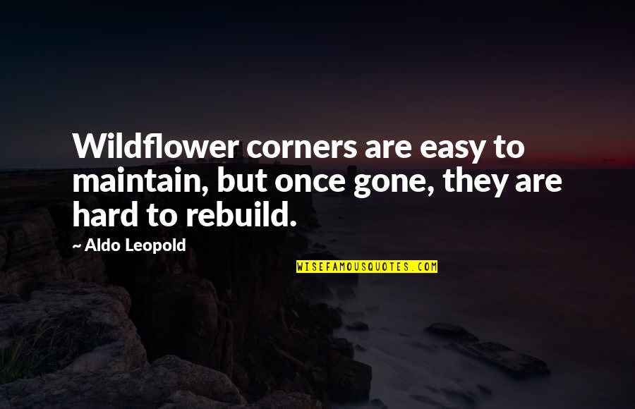 Double Act Quotes By Aldo Leopold: Wildflower corners are easy to maintain, but once