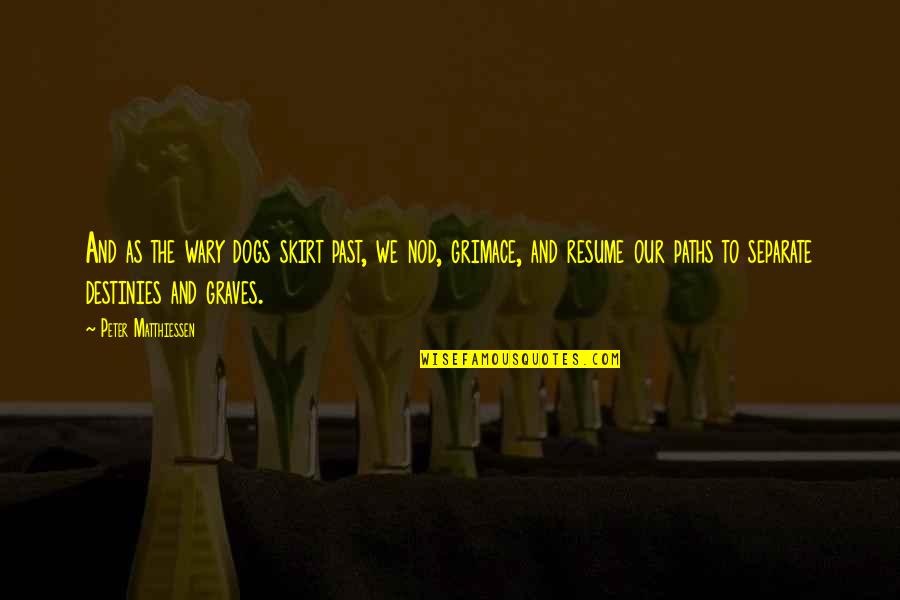 Double Lining Eyeliner Quotes By Peter Matthiessen: And as the wary dogs skirt past, we Double Lining Eyeliner Quotes By Peter Matthiessen: And as the wary dogs skirt past, we