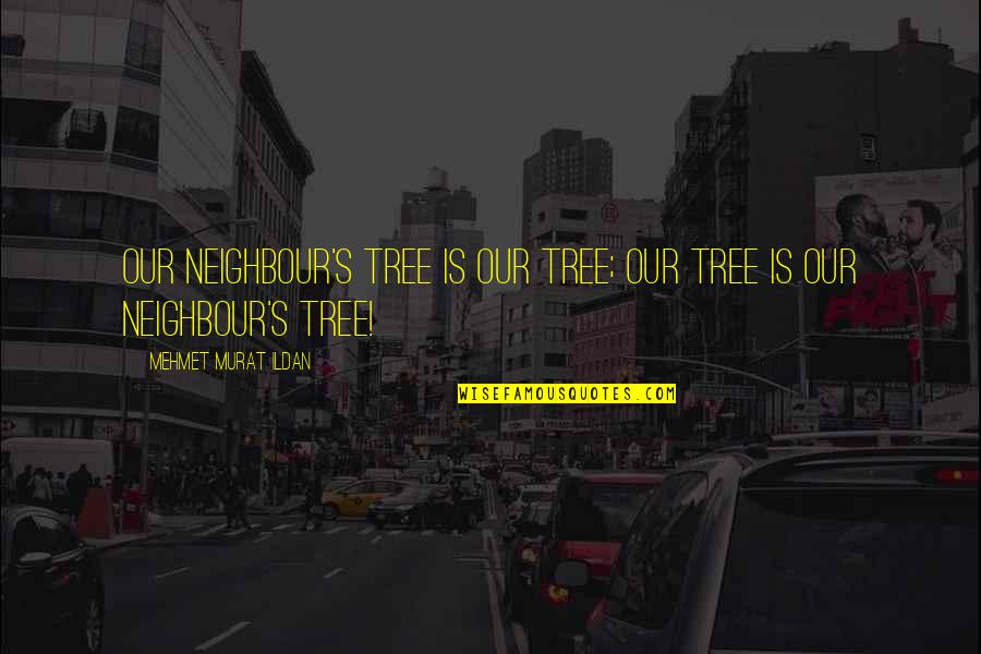 Double Sided Face Quotes By Mehmet Murat Ildan: Our neighbour's tree is our tree; our tree