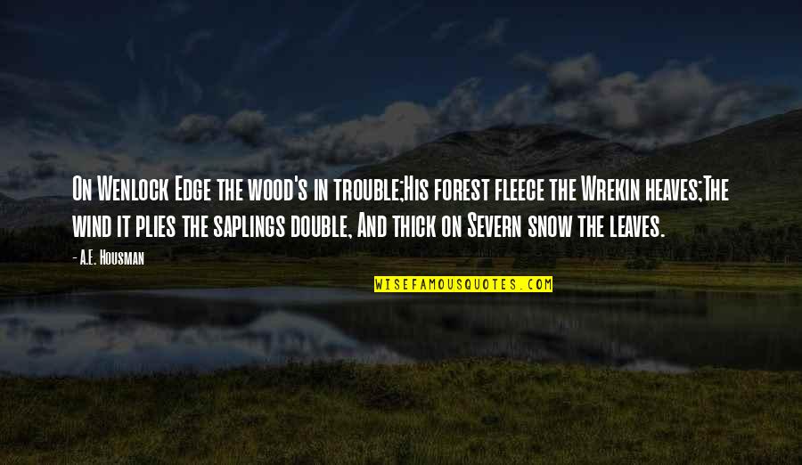 Double Trouble Quotes By A.E. Housman: On Wenlock Edge the wood's in trouble;His forest