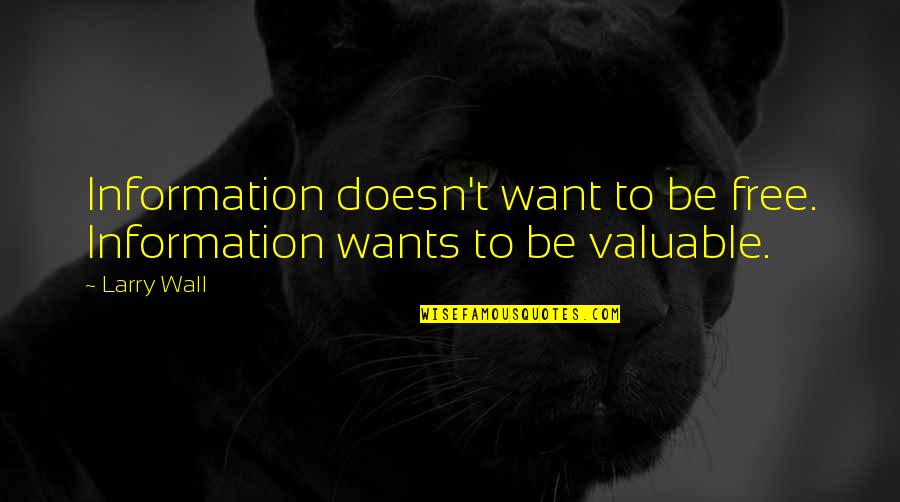 Doublethink 1984 Quotes By Larry Wall: Information doesn't want to be free. Information wants