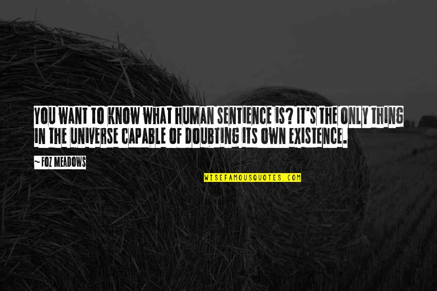 Doubting Quotes By Foz Meadows: You want to know what human sentience is?