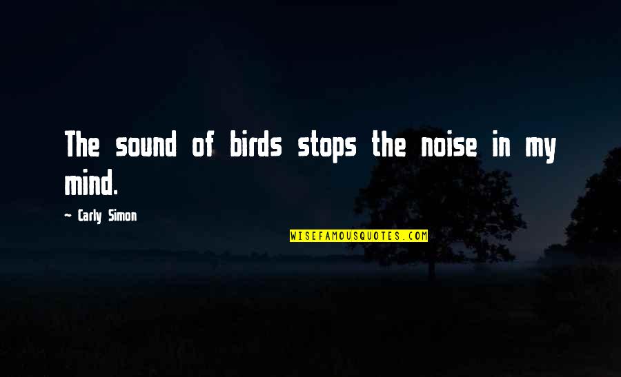 Doubting Relationships Quotes By Carly Simon: The sound of birds stops the noise in