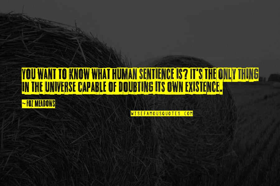 Doubting's Quotes By Foz Meadows: You want to know what human sentience is? Doubting's Quotes By Foz Meadows: You want to know what human sentience is?