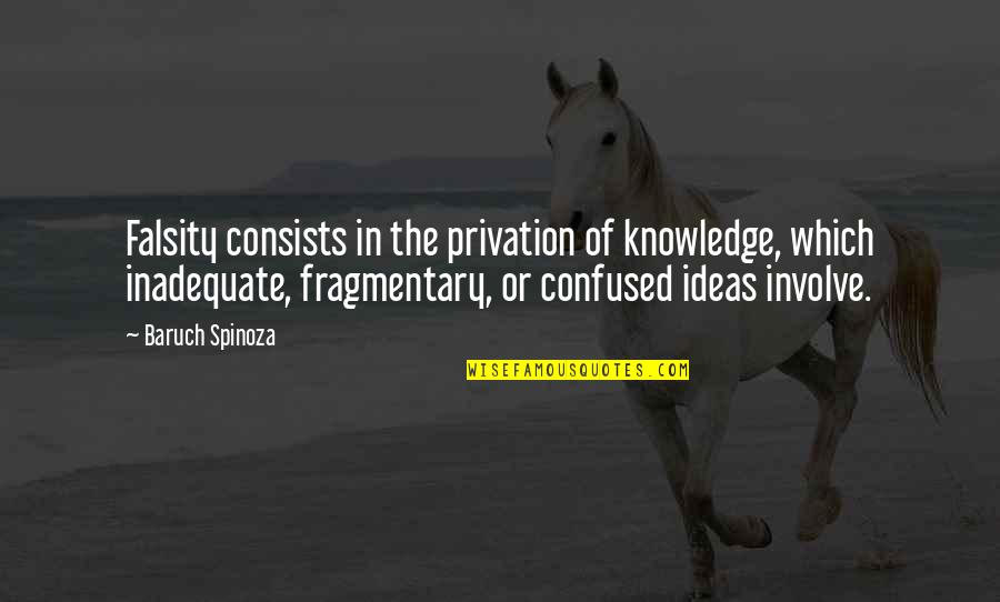 Doug Woog Quotes By Baruch Spinoza: Falsity consists in the privation of knowledge, which