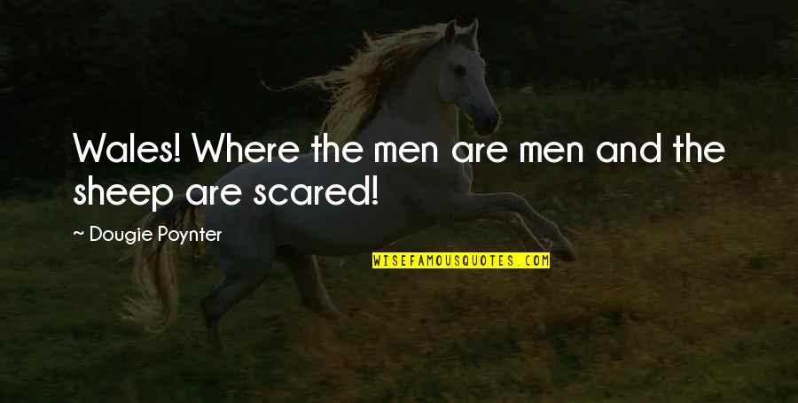 Dougie Quotes By Dougie Poynter: Wales! Where the men are men and the