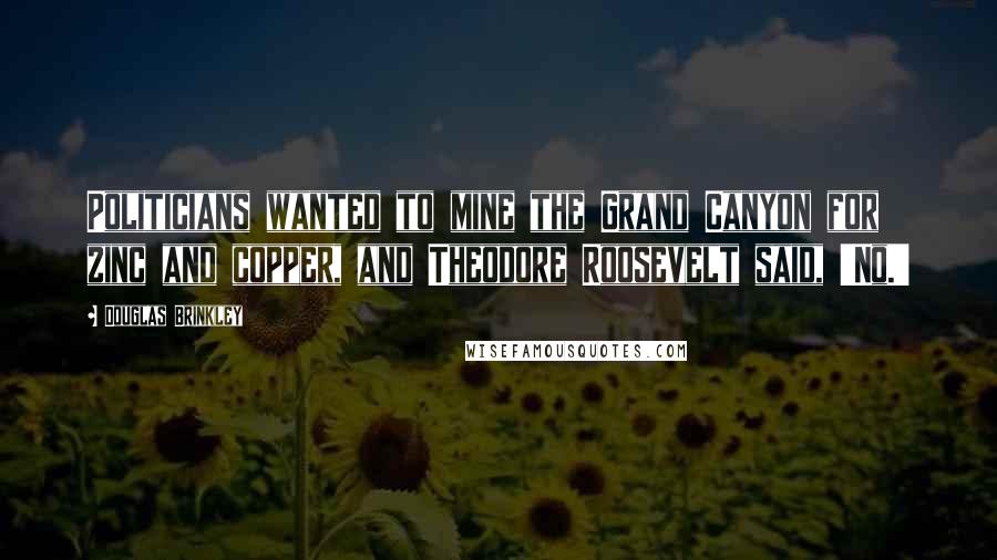 Douglas Brinkley quotes: Politicians wanted to mine the Grand Canyon for zinc and copper, and Theodore Roosevelt said, 'No.'