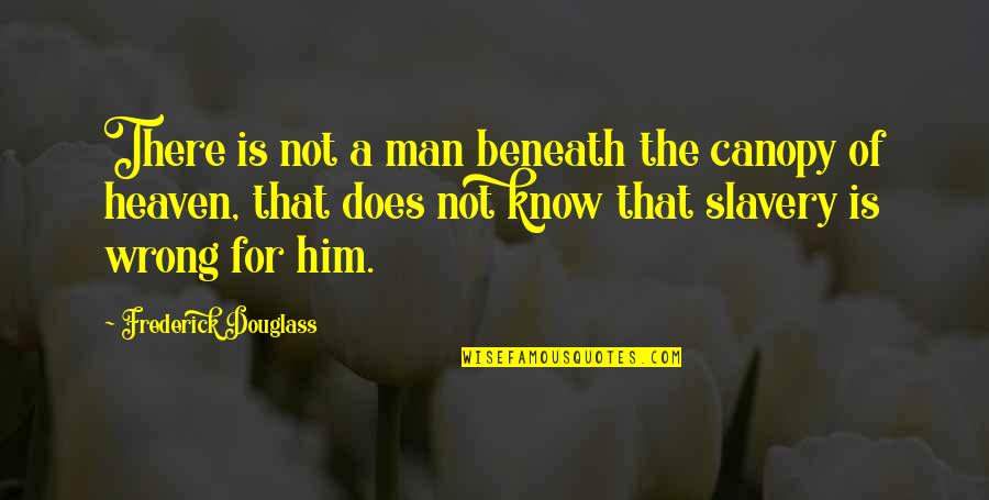 Douglass Quotes By Frederick Douglass: There is not a man beneath the canopy