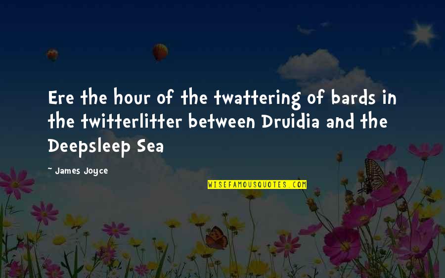 Doula T Shirt Quotes By James Joyce: Ere the hour of the twattering of bards
