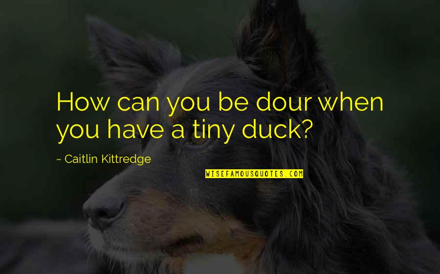 Dour Quotes By Caitlin Kittredge: How can you be dour when you have Dour Quotes By Caitlin Kittredge: How can you be dour when you have