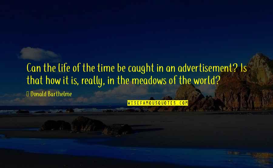 Douroux Company Quotes By Donald Barthelme: Can the life of the time be caught