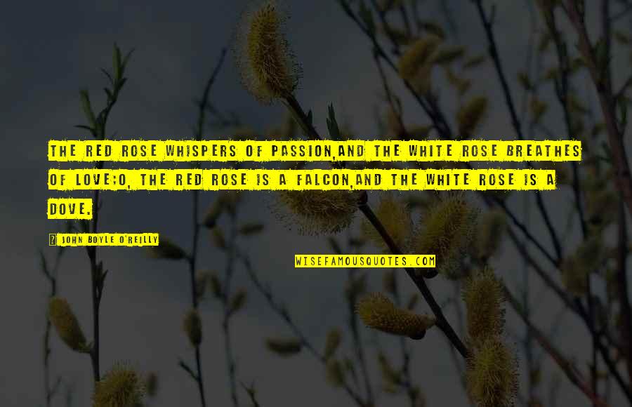Dove Quotes By John Boyle O'Reilly: The red rose whispers of passion,And the white