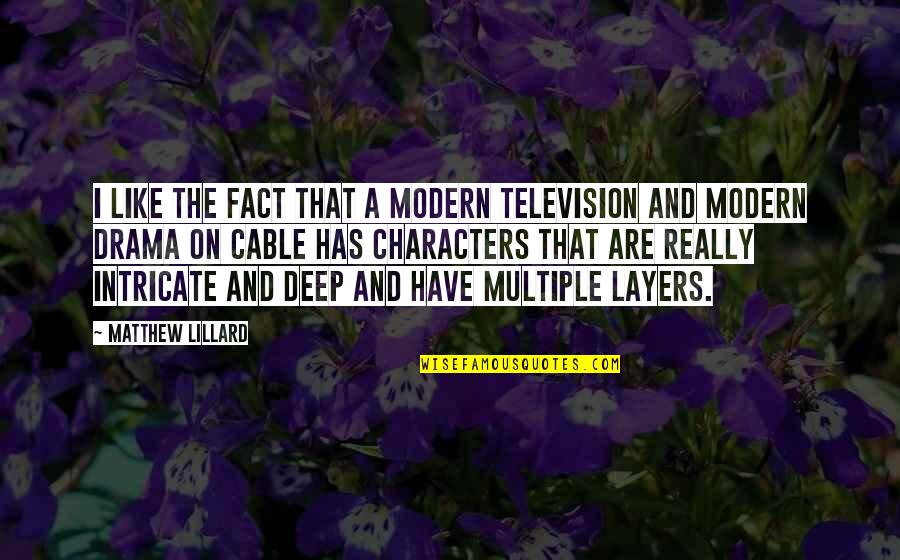 Doverspike Machinery Quotes By Matthew Lillard: I like the fact that a modern television Doverspike Machinery Quotes By Matthew Lillard: I like the fact that a modern television