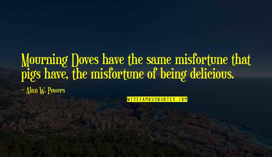 Doves Quotes By Alan W. Powers: Mourning Doves have the same misfortune that pigs