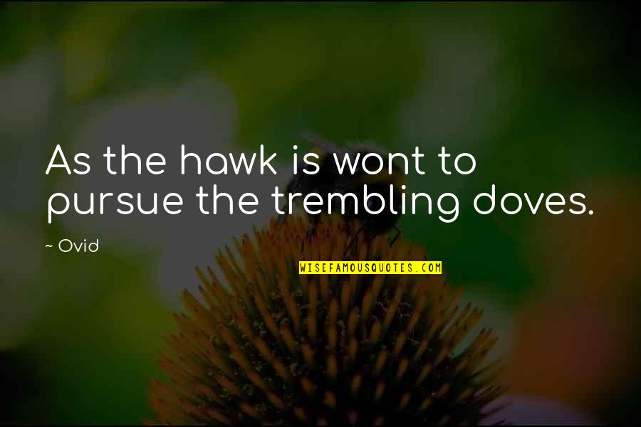 Doves Quotes By Ovid: As the hawk is wont to pursue the