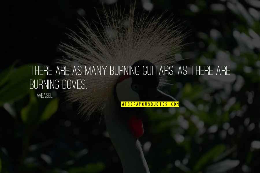 Doves Quotes By Weasel: There are as many burning guitars, as there