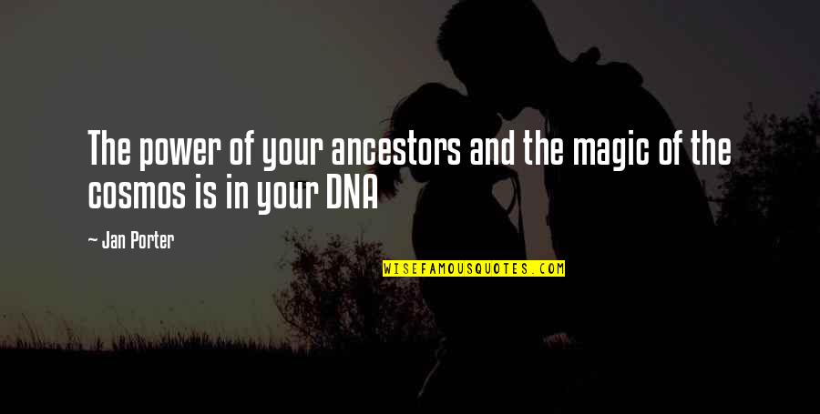 Dovewing And Tigerheart Quotes By Jan Porter: The power of your ancestors and the magic