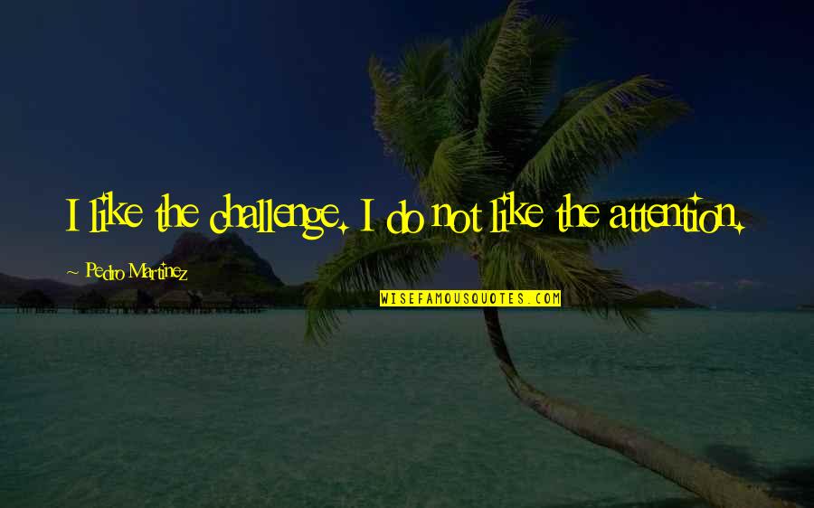 Dovewing And Tigerheart Quotes By Pedro Martinez: I like the challenge. I do not like