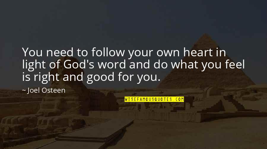 Dovid Efune Quotes By Joel Osteen: You need to follow your own heart in