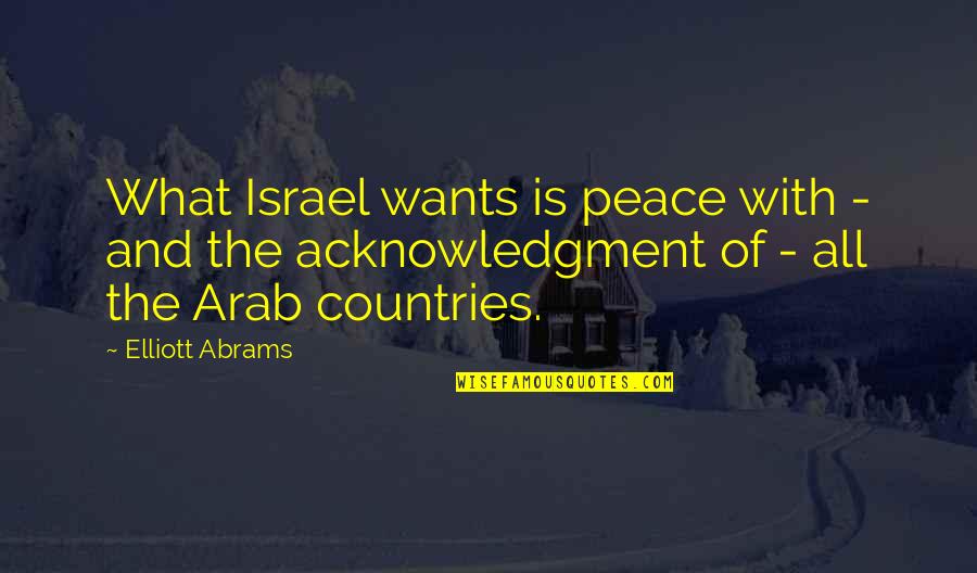 Down And Depressed Quotes By Elliott Abrams: What Israel wants is peace with - and