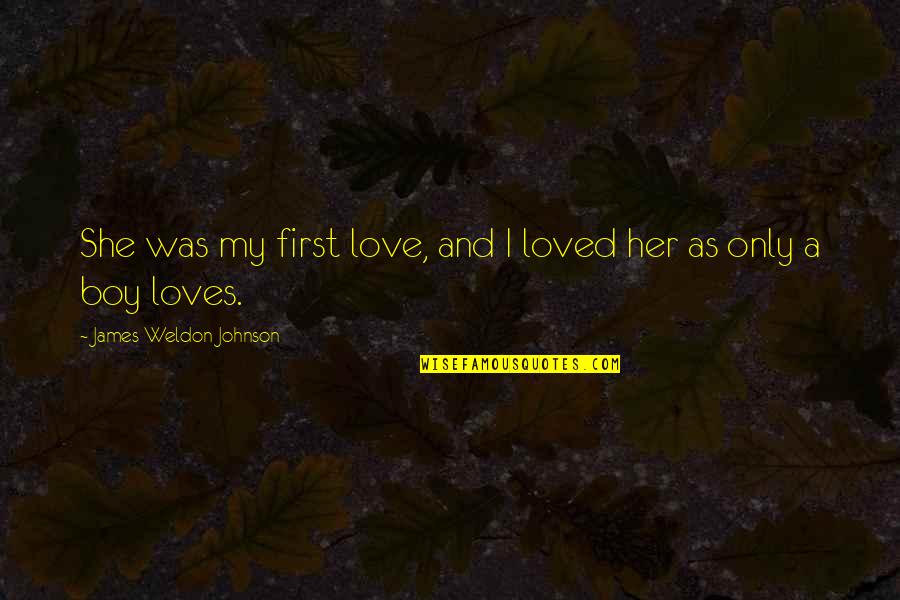 Down Burning Quotes By James Weldon Johnson: She was my first love, and I loved