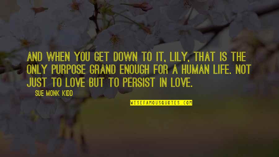 Down For Love Quotes By Sue Monk Kidd: And when you get down to it, Lily,