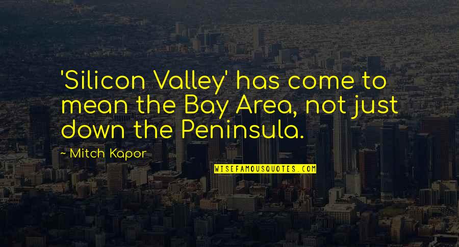 Down In The Valley Quotes By Mitch Kapor: 'Silicon Valley' has come to mean the Bay