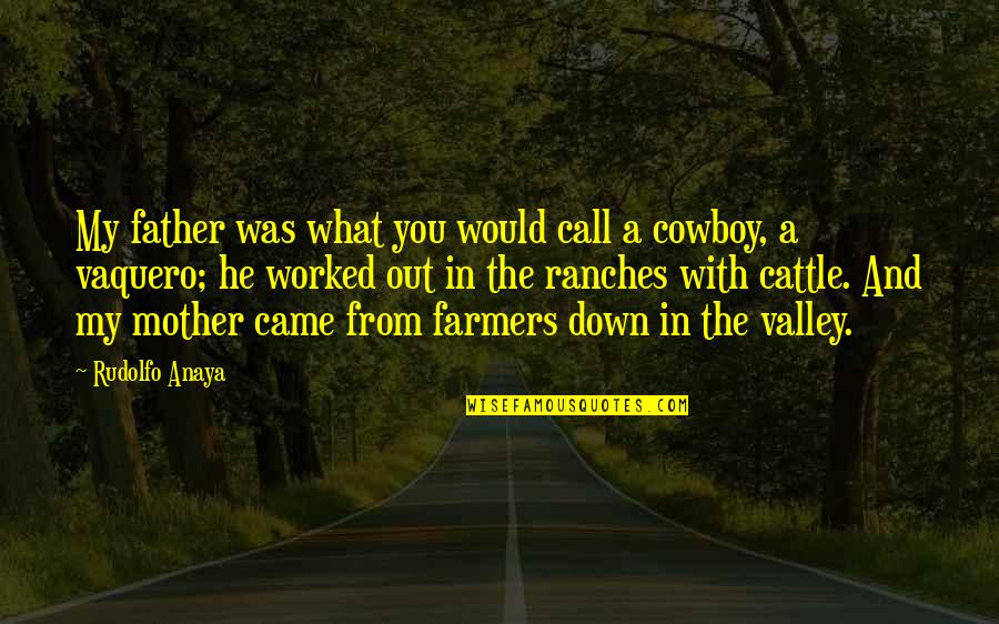 Down In The Valley Quotes By Rudolfo Anaya: My father was what you would call a