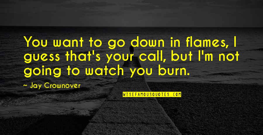 Down Not Quotes By Jay Crownover: You want to go down in flames, I