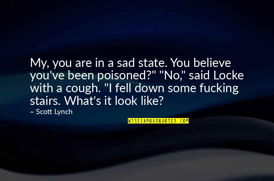 Down Stairs Quotes By Scott Lynch: My, you are in a sad state. You