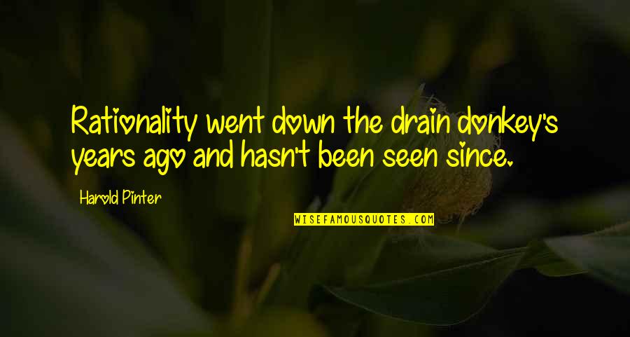 Down The Drain Quotes By Harold Pinter: Rationality went down the drain donkey's years ago