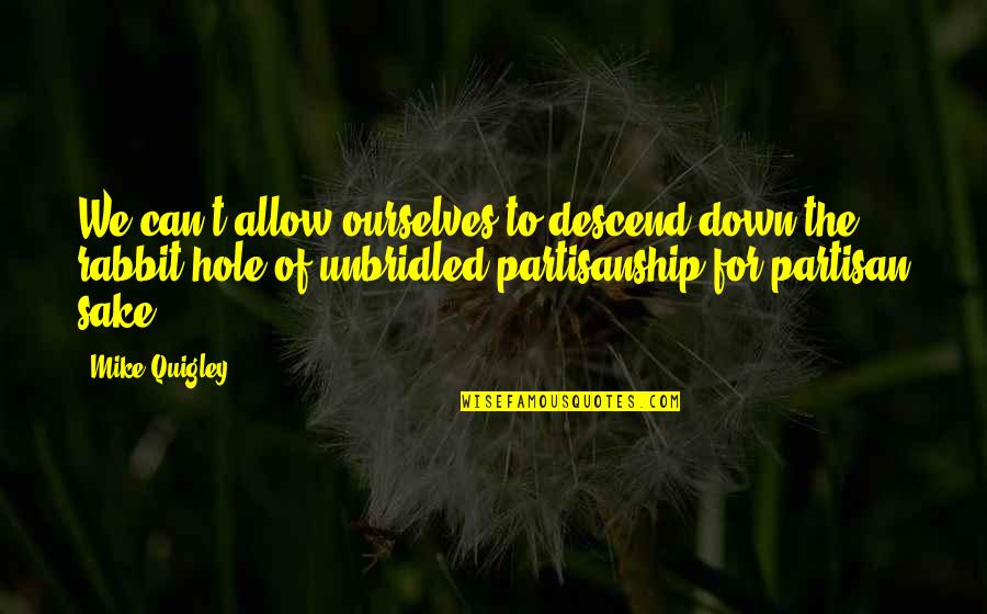 Down The Rabbit Hole Quotes By Mike Quigley: We can't allow ourselves to descend down the