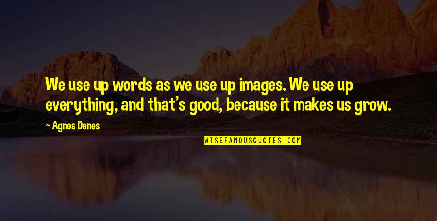 Down To Earth Life Quotes By Agnes Denes: We use up words as we use up
