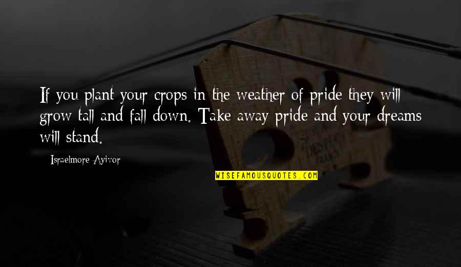 Down Your Pride Quotes By Israelmore Ayivor: If you plant your crops in the weather