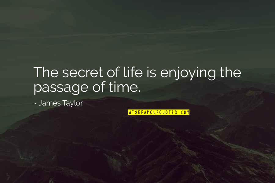 Downfall Of Society Quotes By James Taylor: The secret of life is enjoying the passage